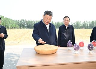 Xi Jinping’den kırsal kalkınma vurgusu: Modernleşmenin temeli tarımdır