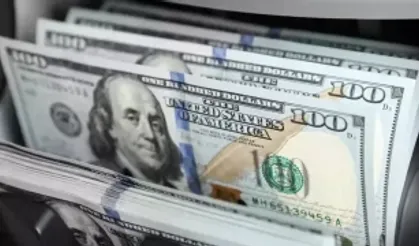 Ödeme altyapıları çeşitleniyor: Dolar için alarm zilleri çalıyor
