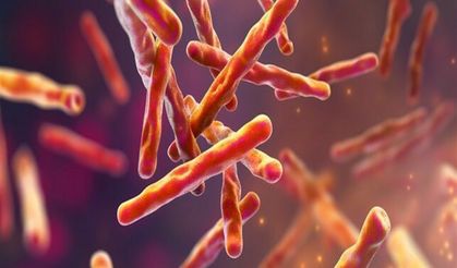 Florida’da tüberküloz vakası tespit edildi