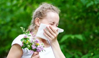 Toplumun yüzde 20'si alerjik belirtiler gösteriyor