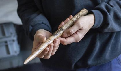 İspanya'da balina kemiklerinden yapılmış 20 bin yıllık aletler bulundu