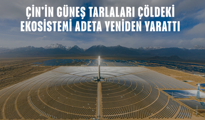 Çin’in güneş tarlaları çöldeki ekosistemi adeta yeniden yarattı