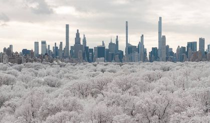 New York'ta 18 kişi aşırı soğuklar nedeniyle can verdi