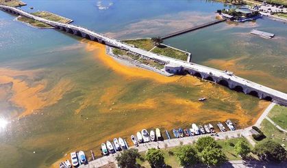 Büyükçekmece'de alg patlaması: Denizin rengi değişti