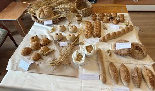 8 bin 600 yıllık antik çağ ekmeği üretildi