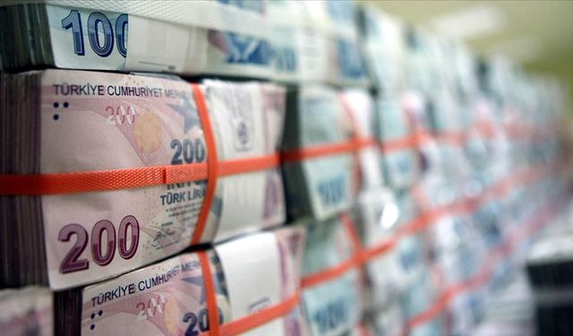 Merkez bankası rezervleri zirveye yaklaştı