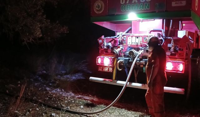 Antalya'daki orman yangınında 7 dekarlık alan zarar gördü