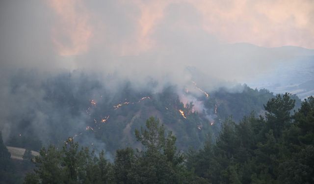 Uşak'ta orman yangını 2. gününde