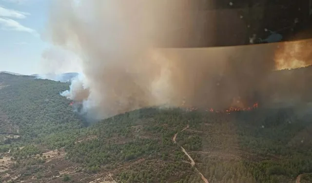 İzmir'de çöplükte çıkan yangın, ormana sıçradı