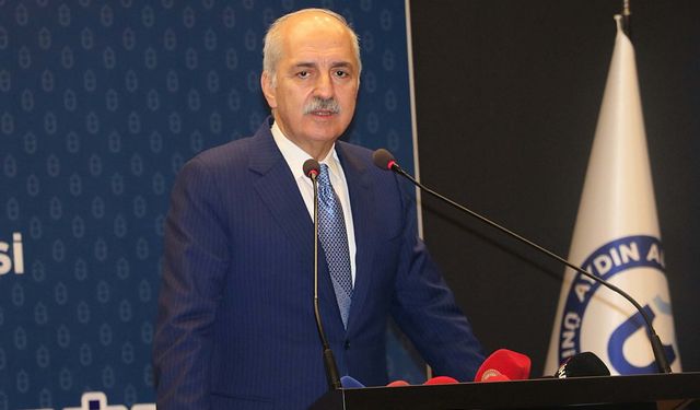 Numan Kurtulmuş'tan 'yenidoğan çetesi' açıklaması