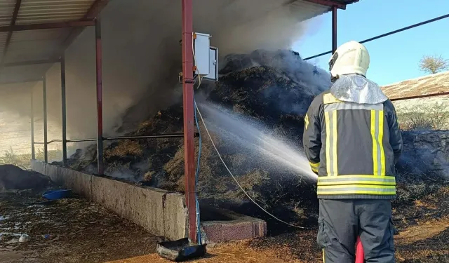 Manisa'da ahır yangını: 7 büyükbaş öldü