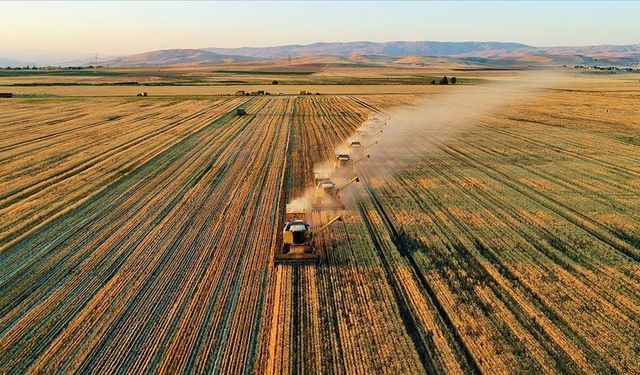 TÜİK: Tarım üretici fiyatları eylülde arttı