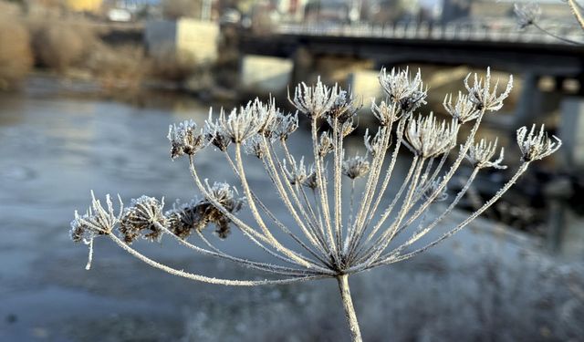 Kars ve Ardahan'da soğuk hava yaşamı olumsuz etkiliyor