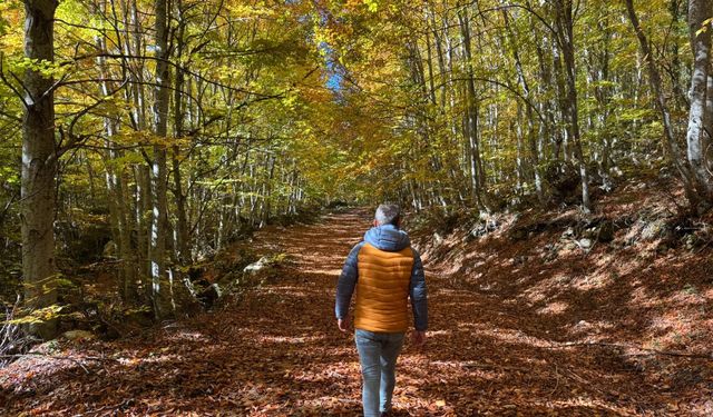 Küre Dağları Milli Parkı'nda sonbahar güzelliği