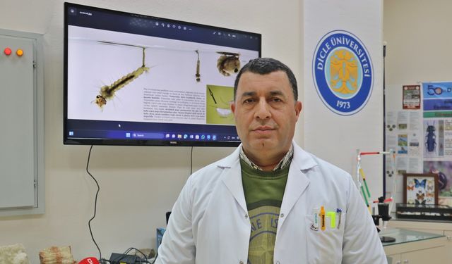 Prof. Dr. Satar: Sivrisineklerle mücadelede bölgenin ekolojik yapısı göz önüne alınmalı, sayıları artabilir