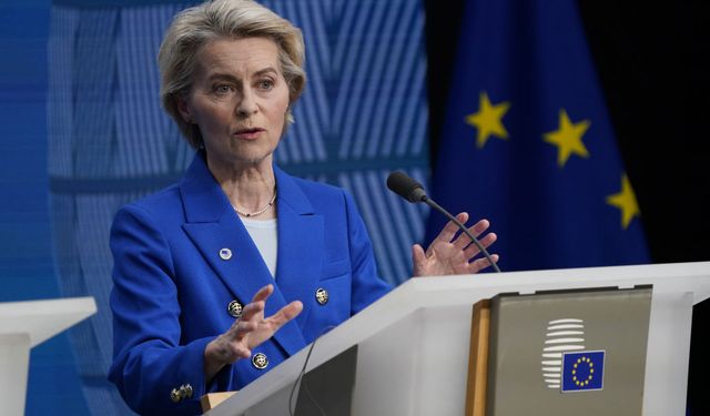 AB'den Hindistan'da düzenlenen silahlı saldırıya ilişkin açıklama