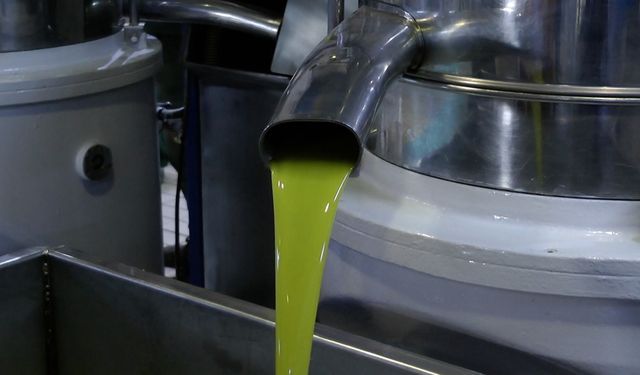 Uzmanından zeytinyağını doğru saklama tavsiyeleri