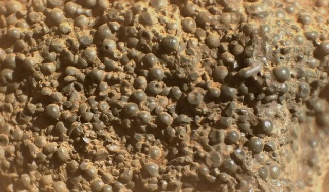 Mars'ta yeni bir kaya keşfedildi