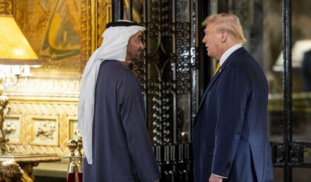 BAE Devlet Başkanı Bin Zayid ve Trump, Gazze'de ateşkesi görüştü