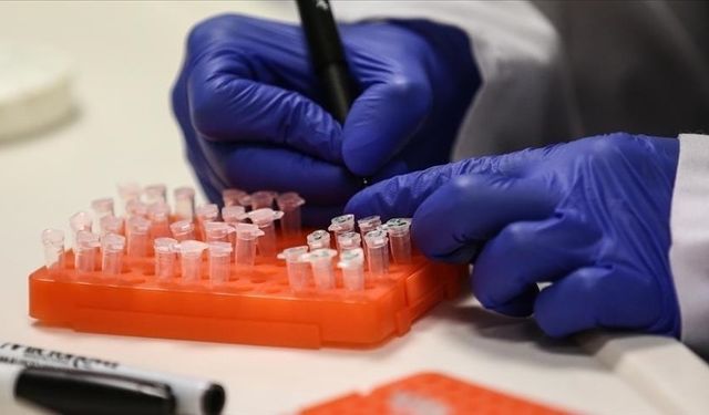 Meksika'da ilk kez bir insanda "H5N1" türü kuş gribine rastlandı