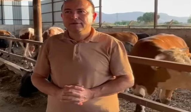 Dananın saldırısına uğrayan iş insanı, 3 gün sonra hayatını kaybetti