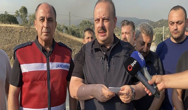 Aydın'da orman yangını; Vali Canbolat'tan açıklama