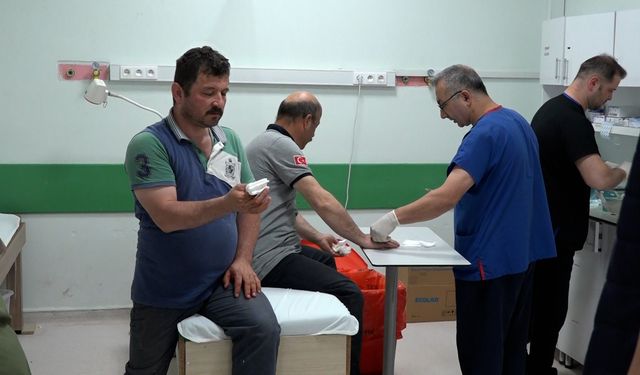 Acemi kasaplar hastanelere koştu