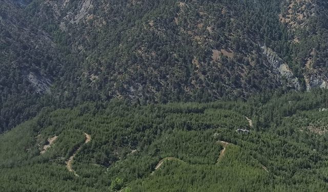 Muğla'nın bazı bölgelerinde ormanlık alanlara giriş yasaklandı