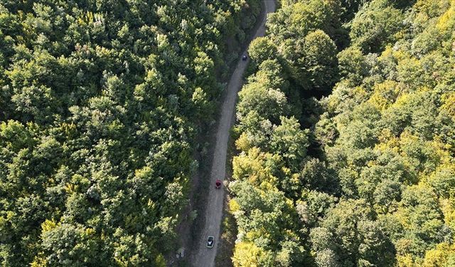 Tekirdağ'da ormanlık alanlara girişler yasaklandı