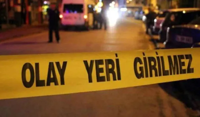 33 kedi ölü bulunmuştu: Veteriner gözaltına alındı