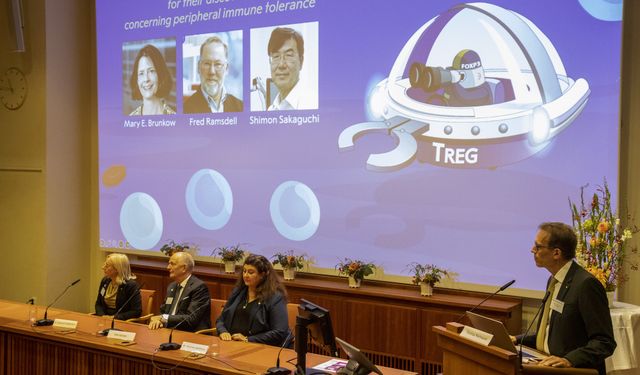 2025 Nobel Tıp Ödülü sahiplerini buldu