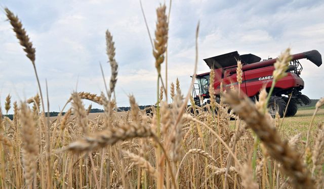 Çin’in tarım başarıları DTÖ’de takdir topladı