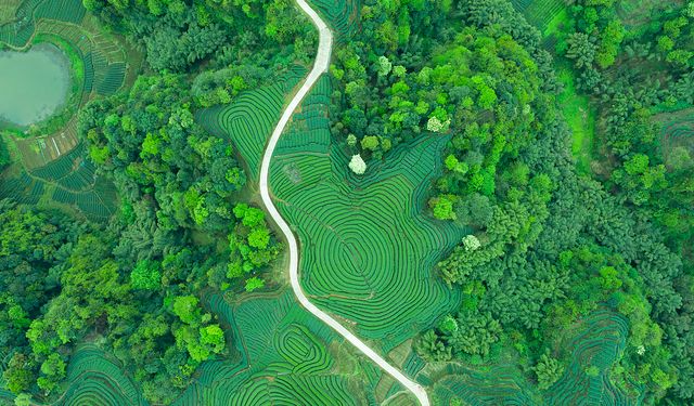 Çin, karbon zirvesi ve nötrlüğü üzerine beyaz kitap yayımladı