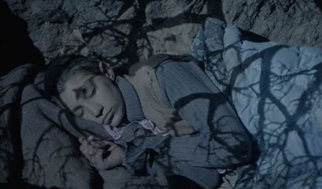 "Tavşan İmparatorluğu"na 7 ödül birden