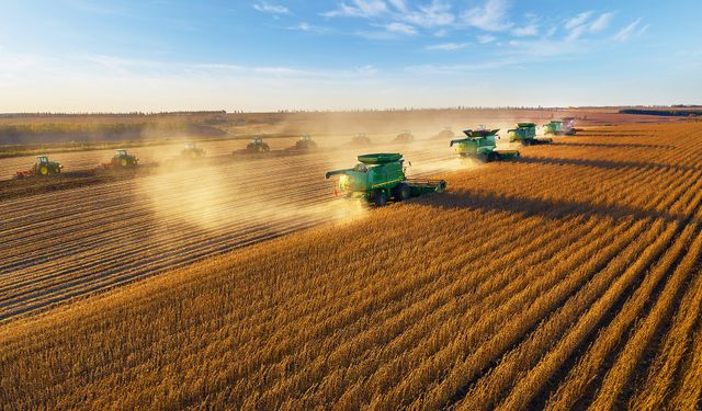 Çin tahıl üretiminde rekor seviyeye ulaştı: 714,88 milyon ton