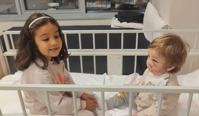 2 kardeşi yaralayan pitbullun sahibinden tepki çeken açıklama