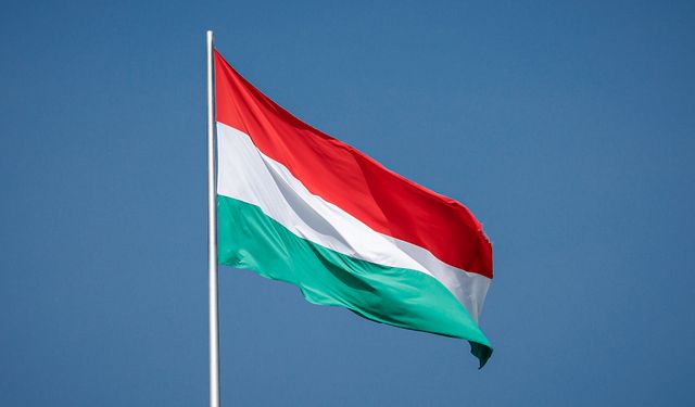 Macaristan’da 7. Konfüçyüs Enstitüsü açıldı