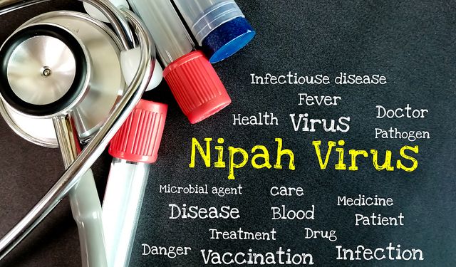 Çin'de Nipah virüsü vakası tespit edilmedi