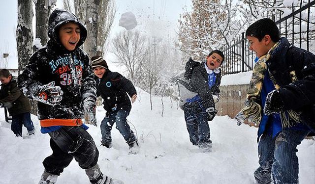 Van’da eğitime kar engeli: Üç ilçede okullar tatil