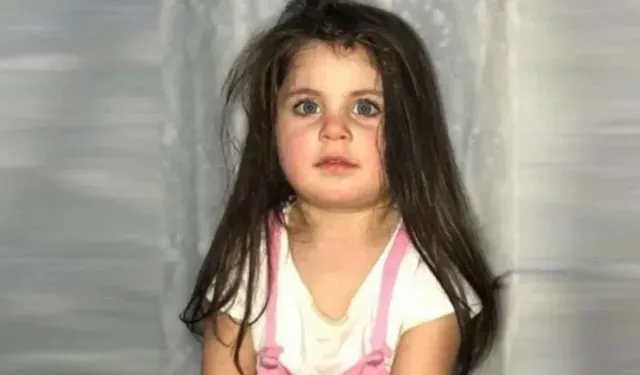 8 yıl sonra Leyla Aydemir davasında karar