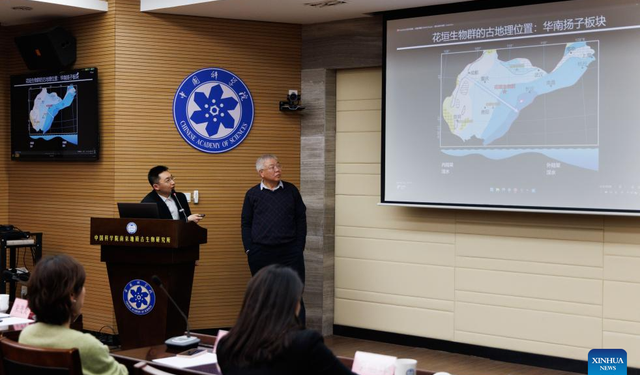 Çin’de çarpıcı keşif: Dünya’nın ilk büyük yok oluşunun sırları ortaya çıktı