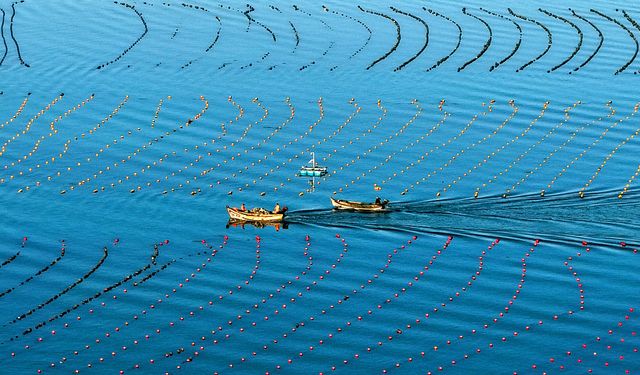 15. Beş Yıllık Plan’da deniz ekonomisini geliştirme vurgusu