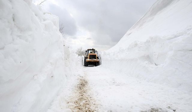Bahar geldi derken karla karşılaştılar: Yollar kapandı!