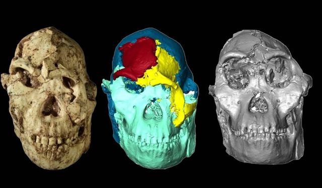 Bilim insanları 3,6 milyon yıllık “Little Foot”un yüzünü yeniden canlandırdı