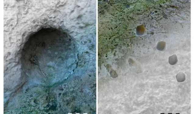 Pompei’de gizemli izler antik silahı işaret ediyor