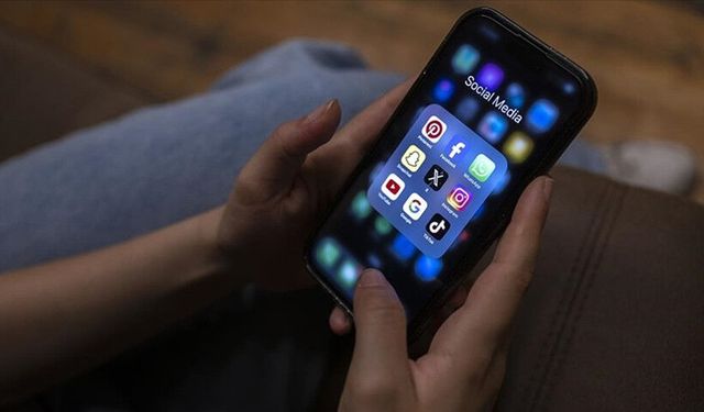 Sosyal medya mezatları maliyenin radarında