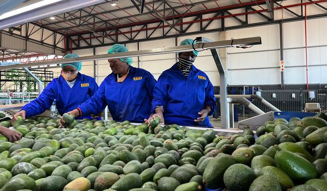 Çin'den tarihi adım: Afrika ülkelerine sıfır gümrük vergisi uygulanacak!