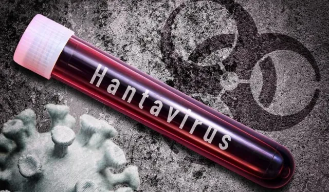 Hantavirüs paniği büyüyor: Gemiden sonra şimdi de uçak!