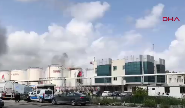 Mersin'de biyodizel üretim tesisinde yangın: 1 ölü