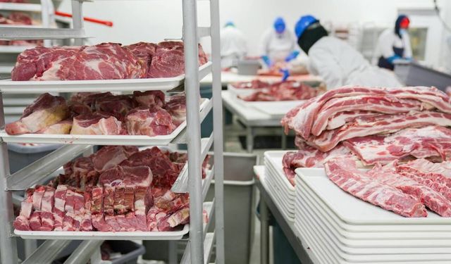 Ankara’da 40 ton et ve kaçak zeytinyağına el konuldu